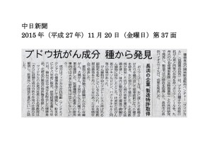 中日新聞　記事 v2